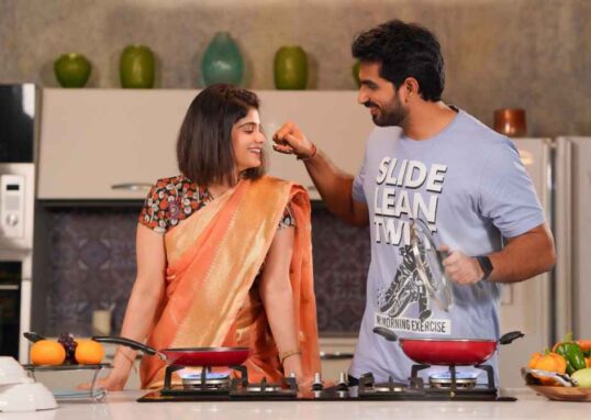 घर में PNG गैस कनेक्शन और LPG स्टोव