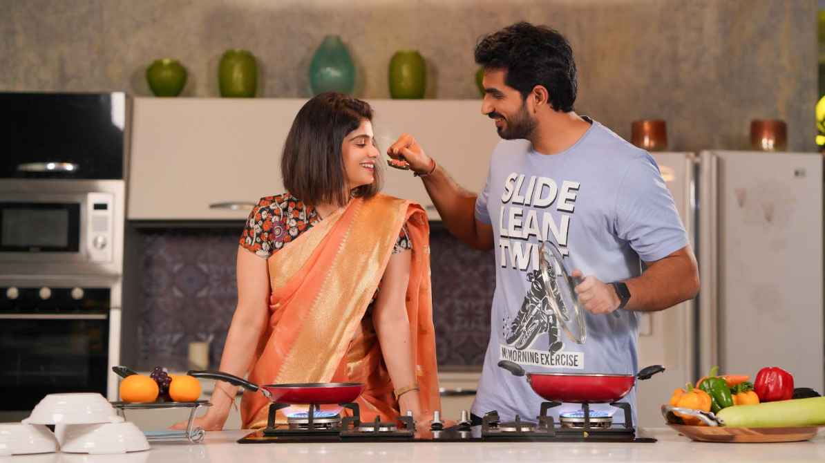 घर में PNG गैस कनेक्शन और LPG स्टोव