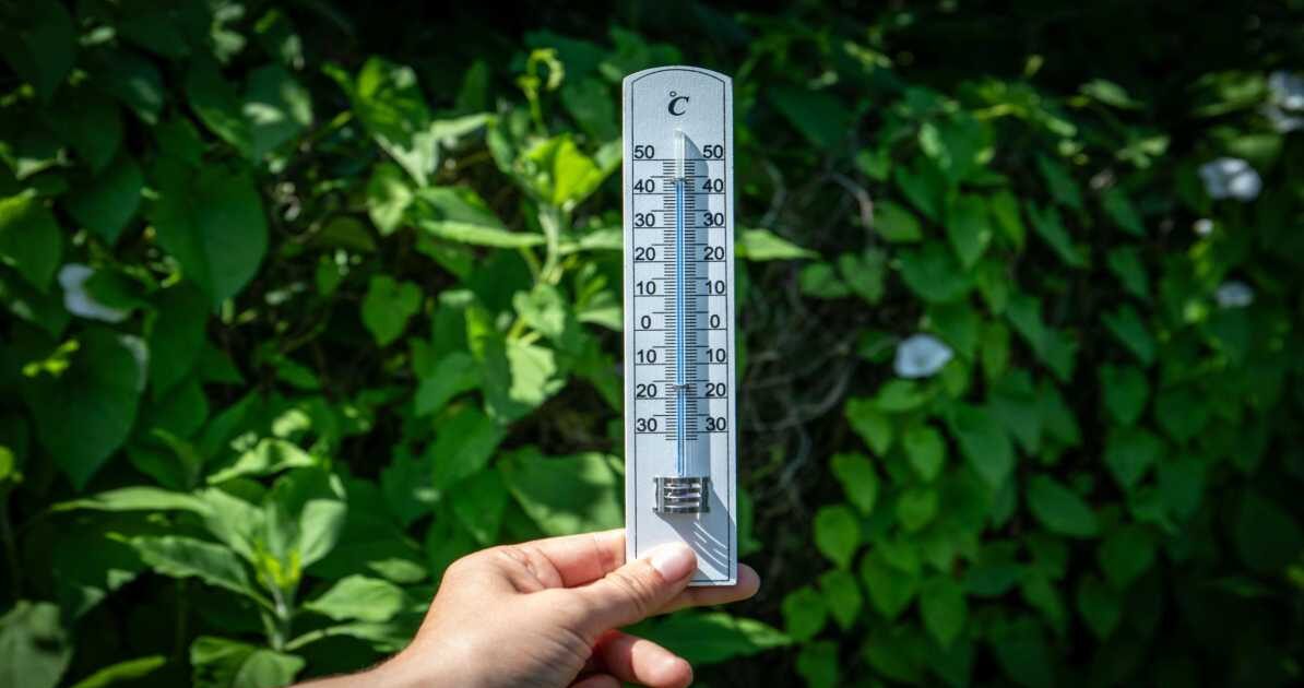 तेज धूप और बढ़ते तापमान के बीच सड़कों पर गर्मी की लहर का दृश्य, लोग खुद को धूप से बचाते हुए नजर आ रहे हैं।