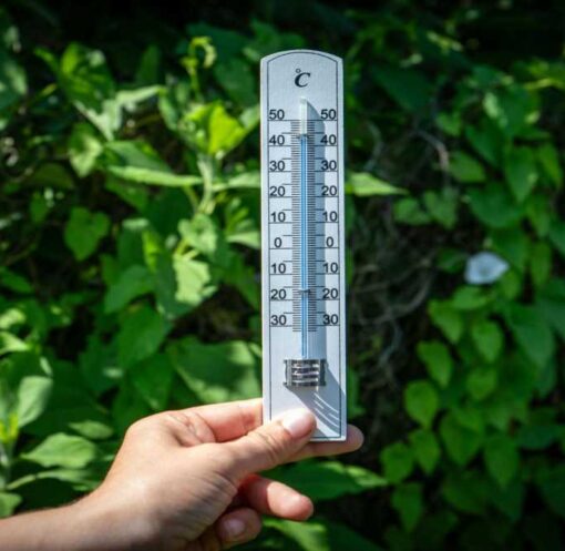 तेज धूप और बढ़ते तापमान के बीच सड़कों पर गर्मी की लहर का दृश्य, लोग खुद को धूप से बचाते हुए नजर आ रहे हैं।