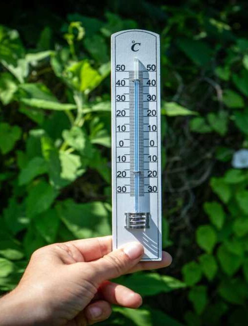 तेज धूप और बढ़ते तापमान के बीच सड़कों पर गर्मी की लहर का दृश्य, लोग खुद को धूप से बचाते हुए नजर आ रहे हैं।