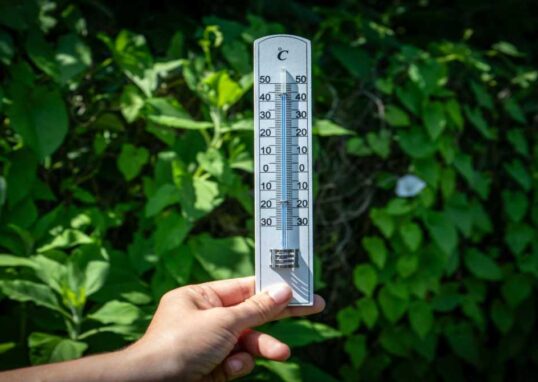 तेज धूप और बढ़ते तापमान के बीच सड़कों पर गर्मी की लहर का दृश्य, लोग खुद को धूप से बचाते हुए नजर आ रहे हैं।