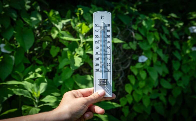 तेज धूप और बढ़ते तापमान के बीच सड़कों पर गर्मी की लहर का दृश्य, लोग खुद को धूप से बचाते हुए नजर आ रहे हैं।