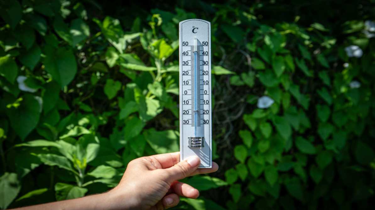 हीटवेव अलर्ट | उत्तर भारत में तेज गर्मी का प्रकोप, IMD ने जारी की चेतावनी