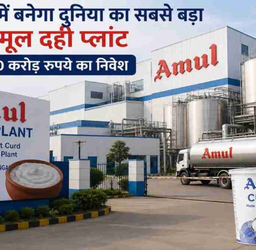 अमूल दही प्लांट